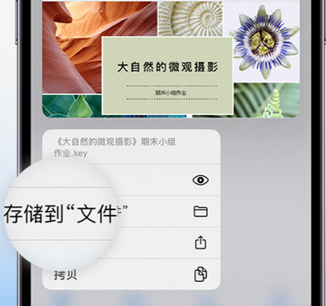 荣邦乡apple维修中心分享iPhone文件应用中存储和找到下载文件