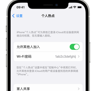 荣邦乡apple服务站点分享iPhone上个人热点丢失了怎么办 