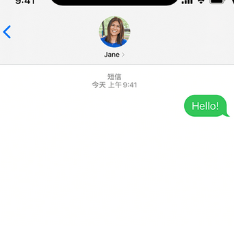 荣邦乡apple维修iPhone上无法正常发送iMessage信息