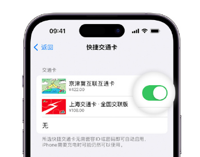 荣邦乡apple维修点分享iPhone上更换Apple Pay快捷交通卡手绘卡面 