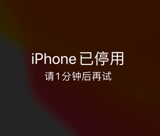 荣邦乡苹果手机维修分享:iPhone 显示“不可用”或“已停用”怎么办？还能保留数据吗？ 