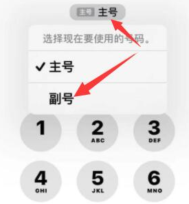 荣邦乡苹果14维修店分享iPhone 14 Pro Max使用副卡打电话的方法 