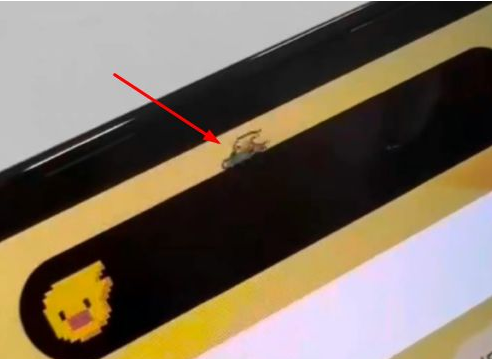 荣邦乡苹果14维修分享iPhone 14 Pro Max灵动岛怎么养宠物 