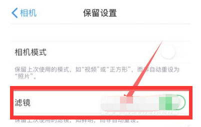 荣邦乡苹果13维修分享iPhone13拍照有绿点是怎么回事 